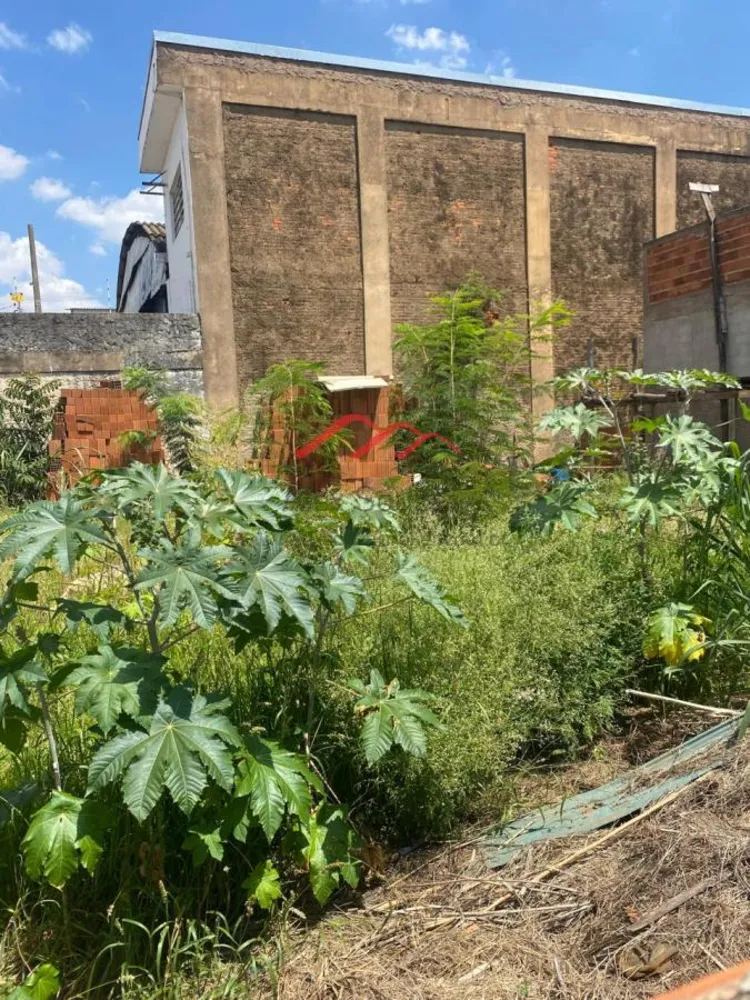 Terreno, 145 m² - Foto 4