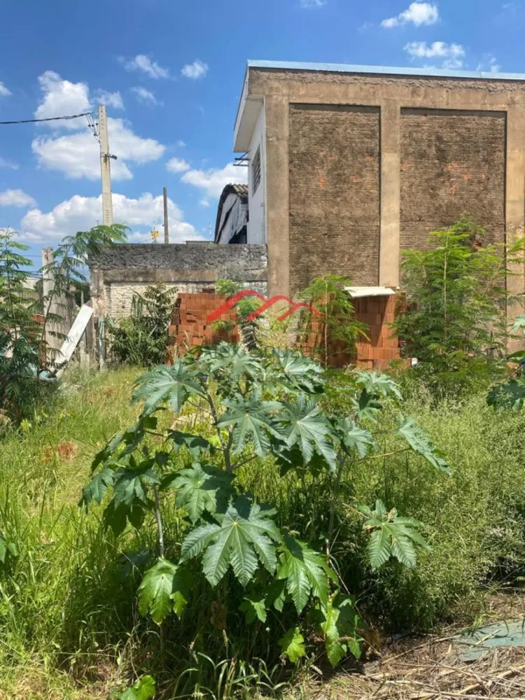 Terreno, 145 m² - Foto 6