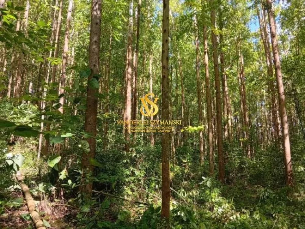 Chácara, 2 hectares - Foto 4