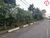 Terreno, 4900 m² - Foto 3