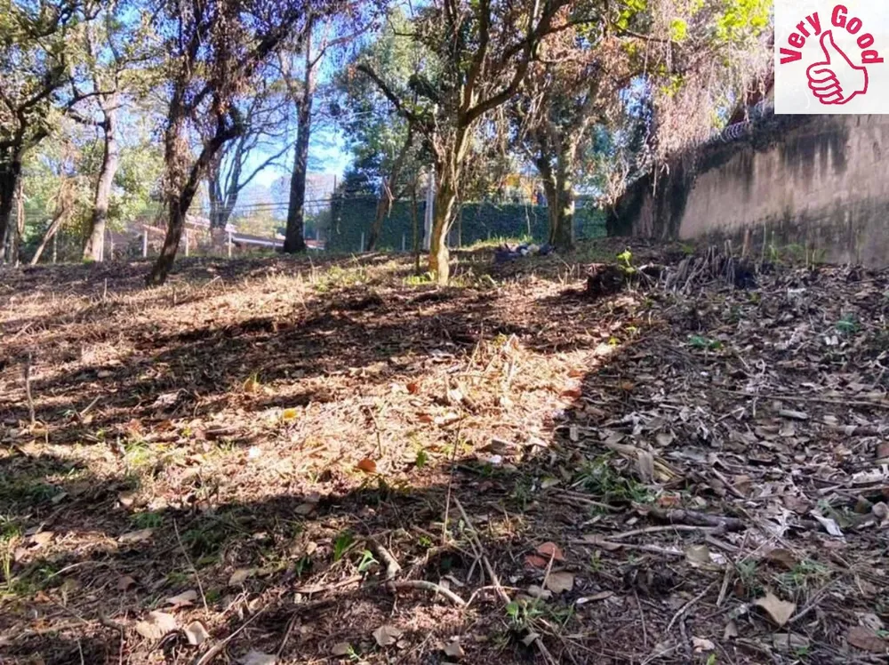 Terreno, 2334 m² - Foto 4