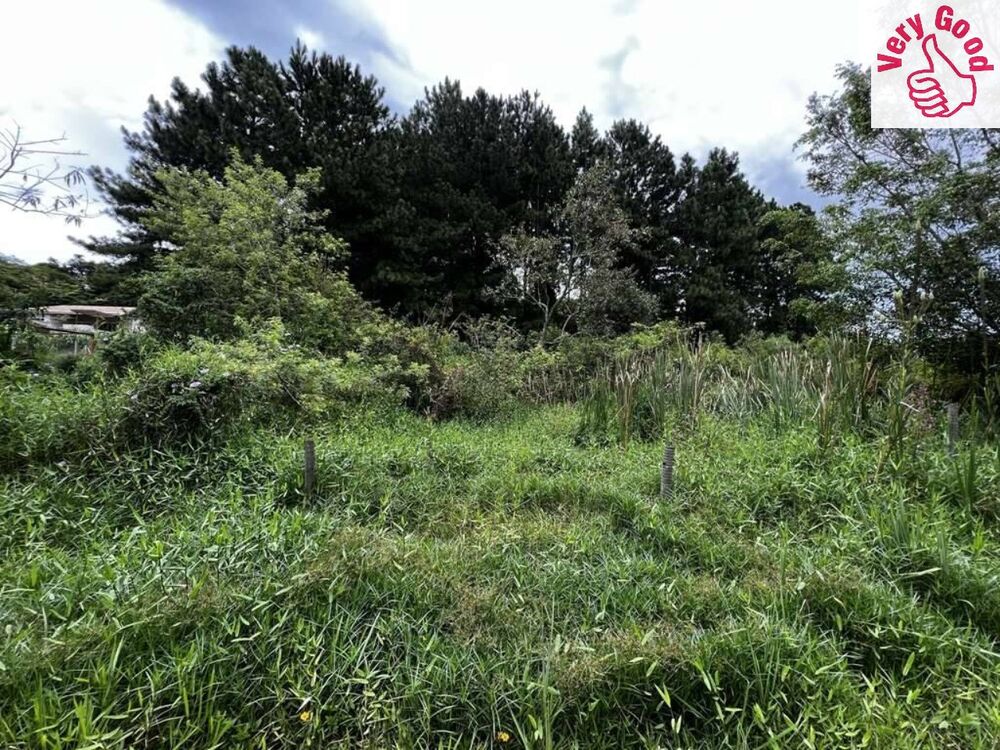 Terreno, 1420 m² - Foto 4