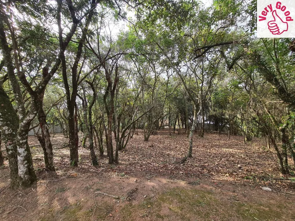 Terreno, 1575 m² - Foto 3