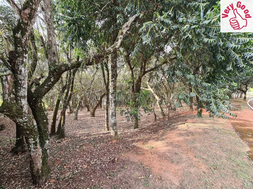 Terreno, 1575 m² - Foto 4