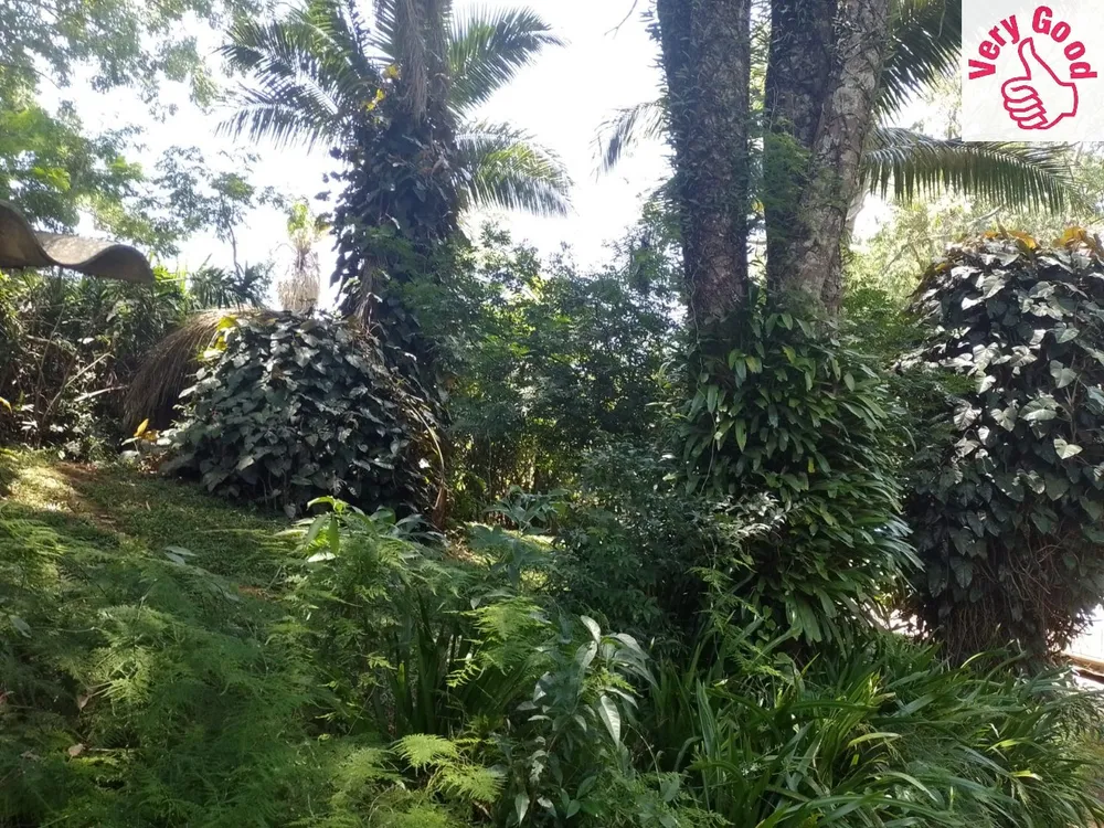 Terreno, 3715 m² - Foto 3
