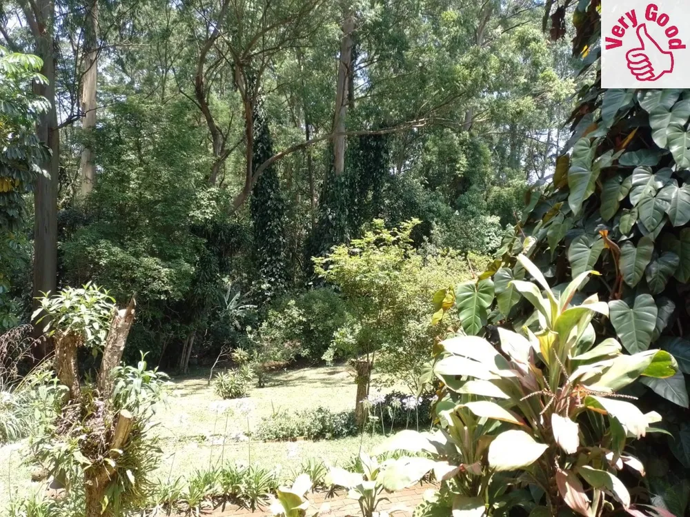 Terreno, 3715 m² - Foto 1