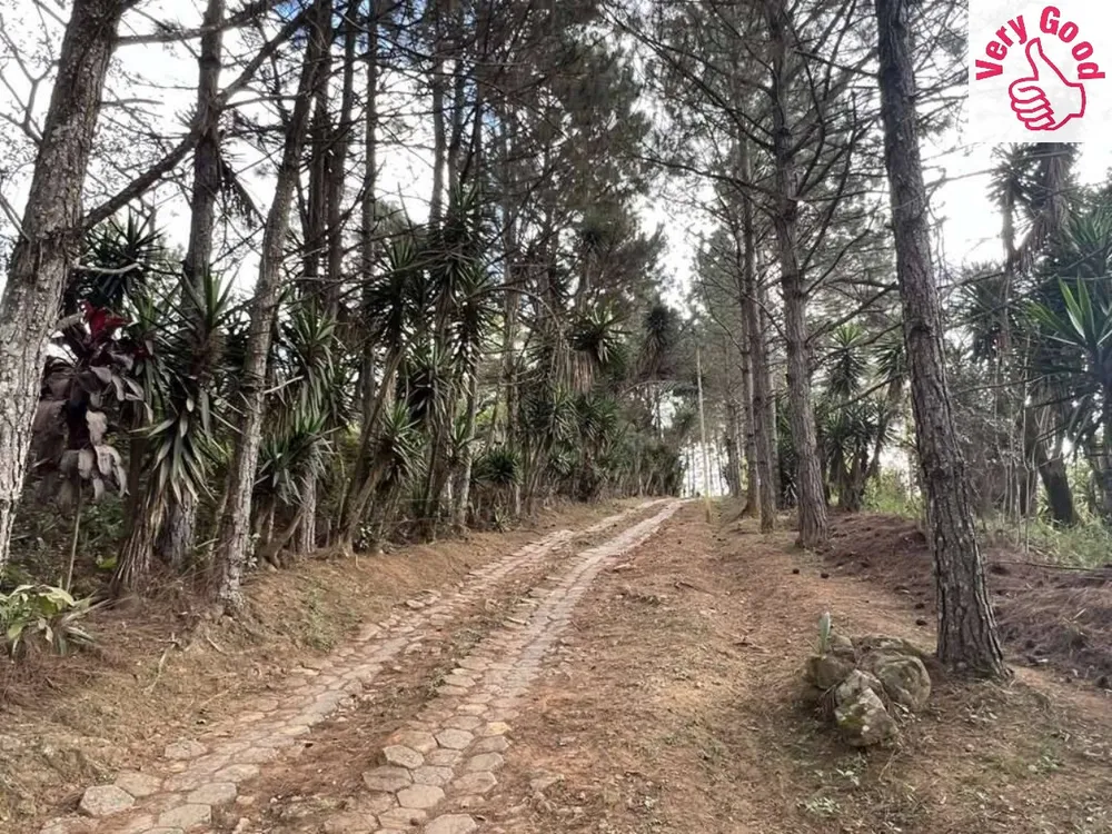 Terreno, 2 hectares - Foto 5