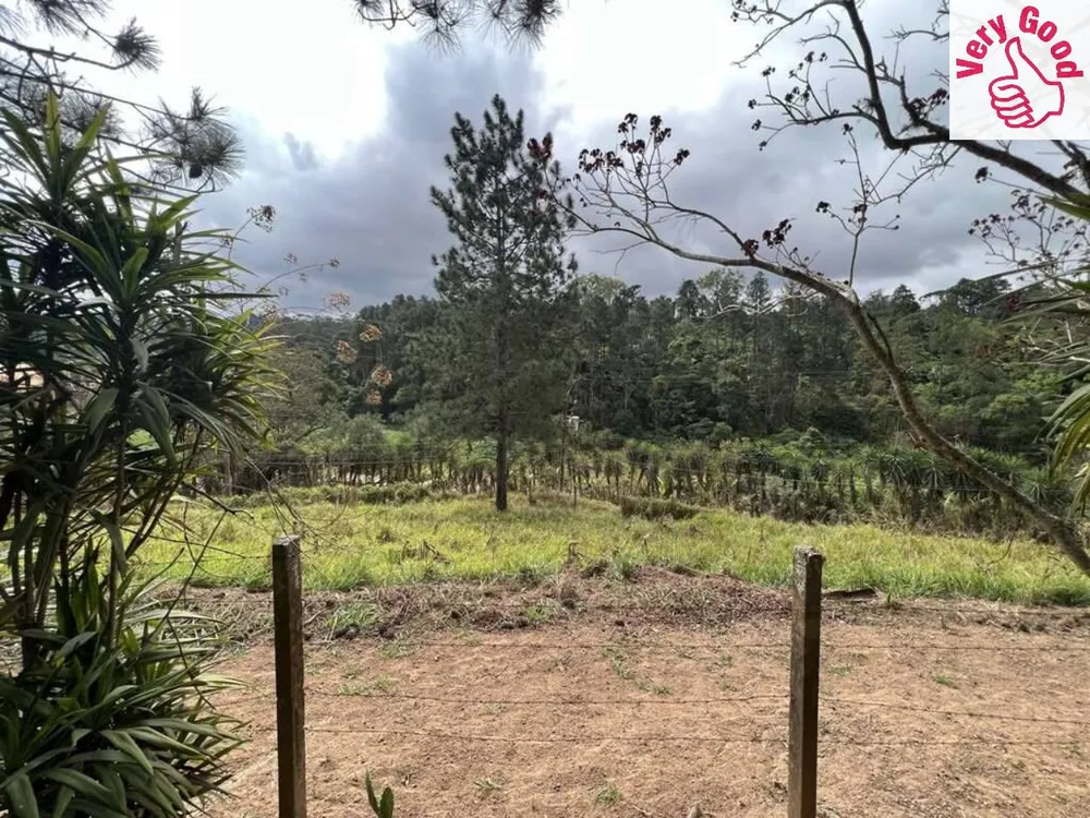 Terreno, 2 hectares - Foto 10