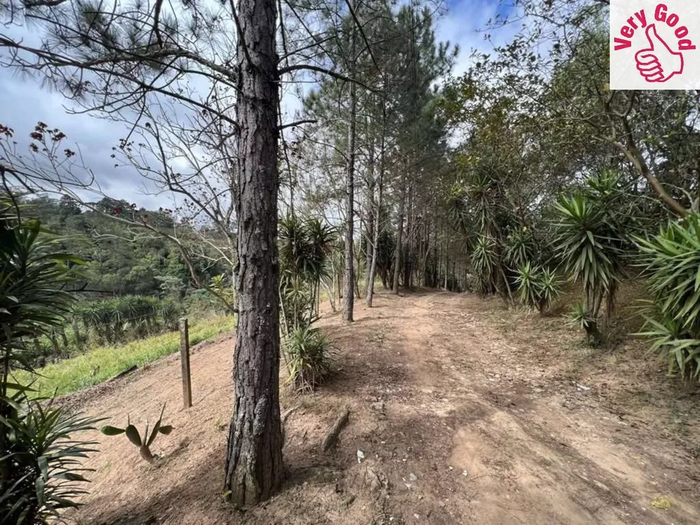 Terreno, 2 hectares - Foto 5