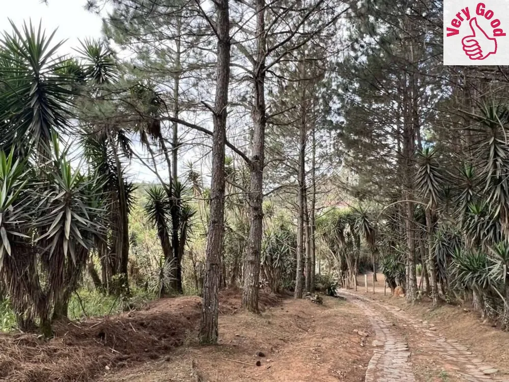 Terreno, 2 hectares - Foto 7