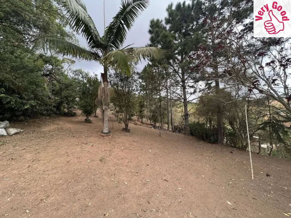 Terreno, 2 hectares - Foto 14