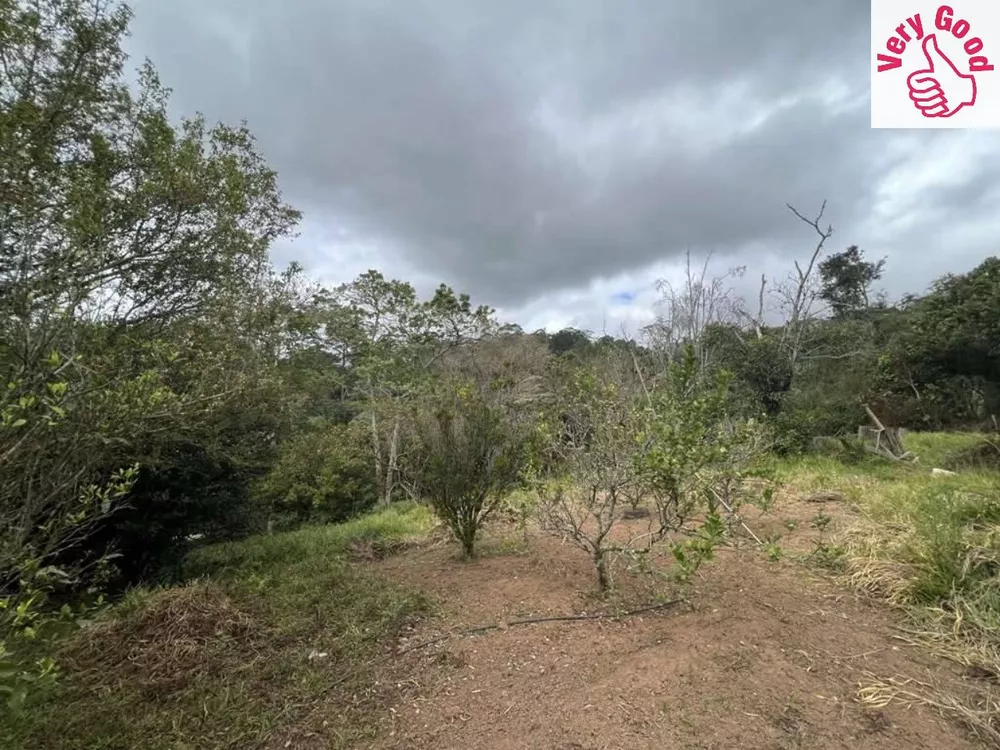 Terreno, 2 hectares - Foto 6