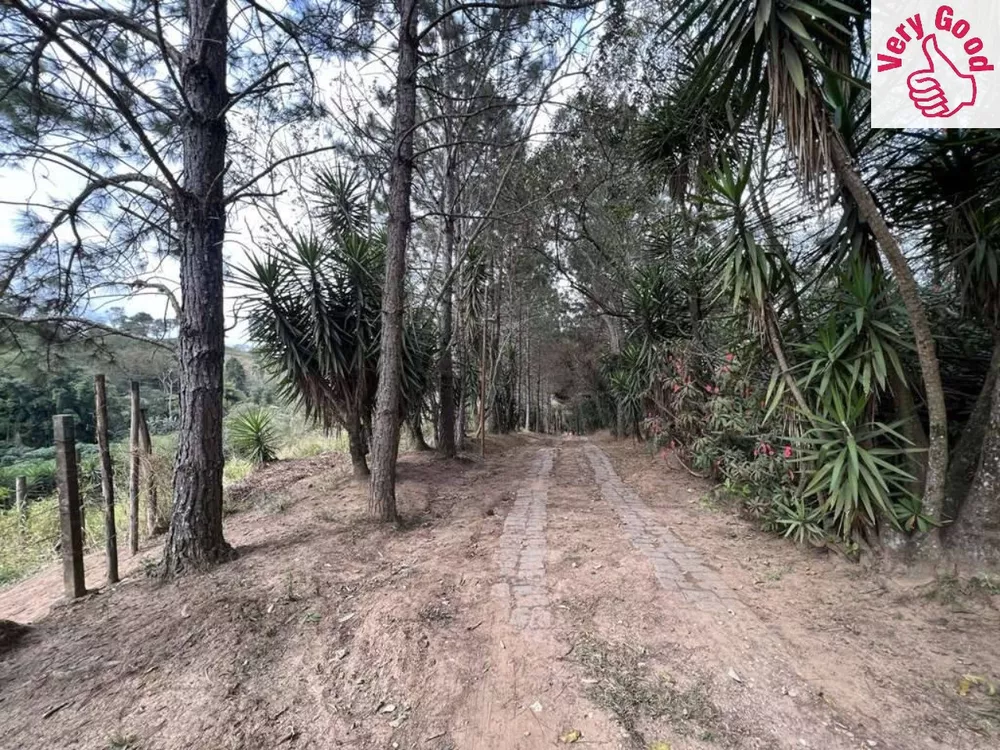 Terreno, 2 hectares - Foto 4