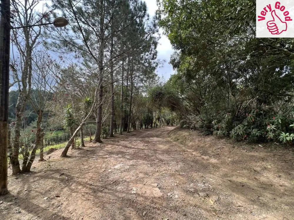 Terreno, 2 hectares - Foto 8
