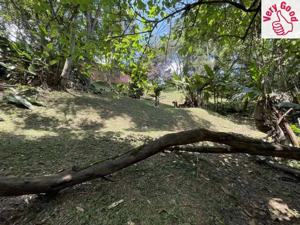 Chácara, 4 quartos, 2 hectares - Foto 14