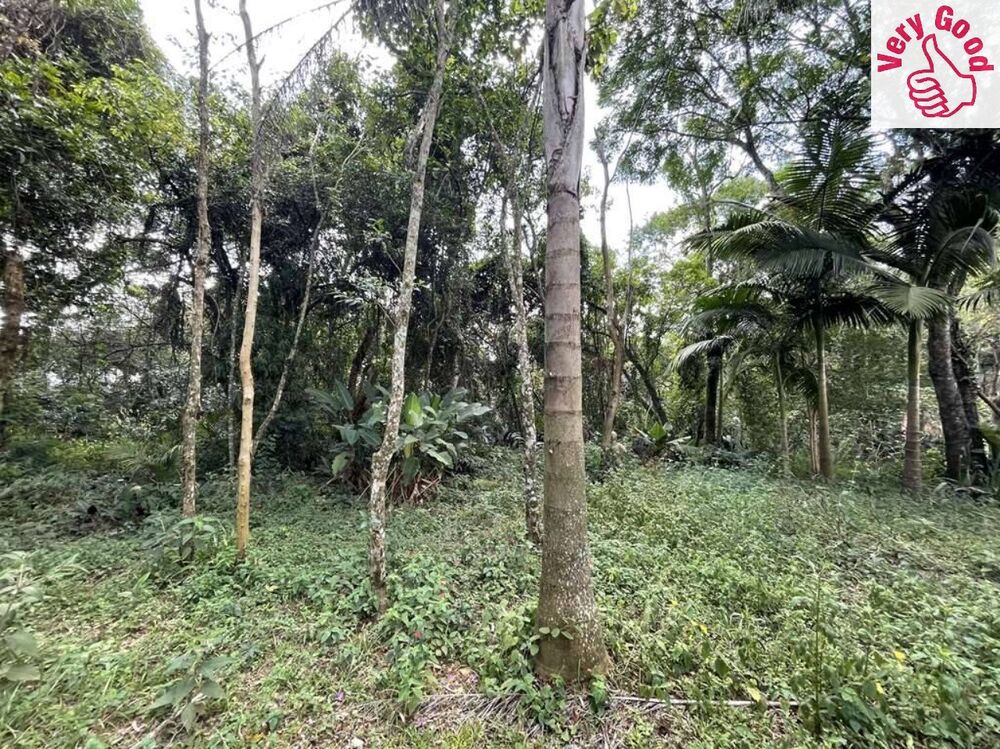 Chácara, 4 quartos, 2 hectares - Foto 11
