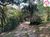 Chácara, 4 quartos, 2 hectares - Foto 2