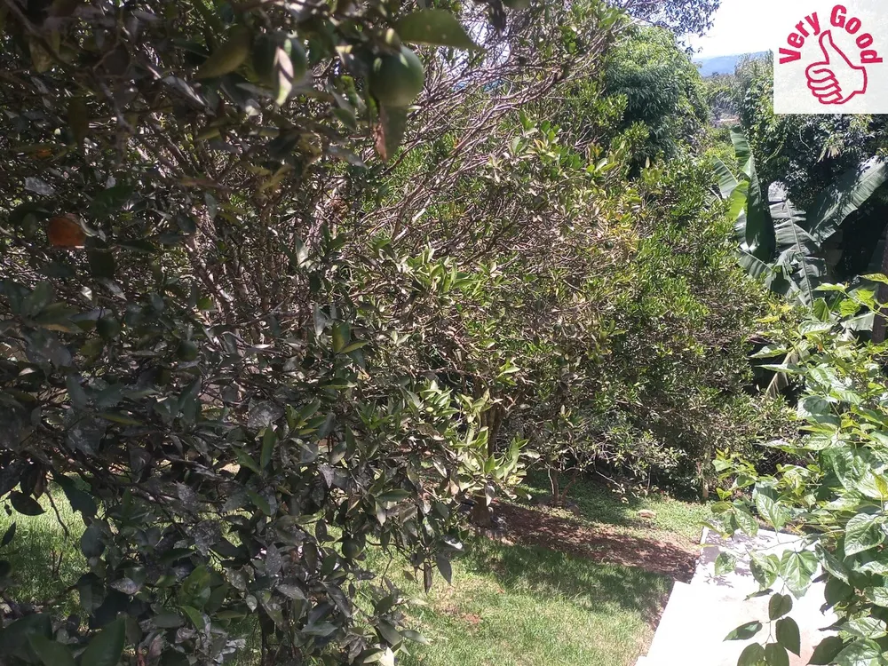 Casa, 4 quartos - Foto 2