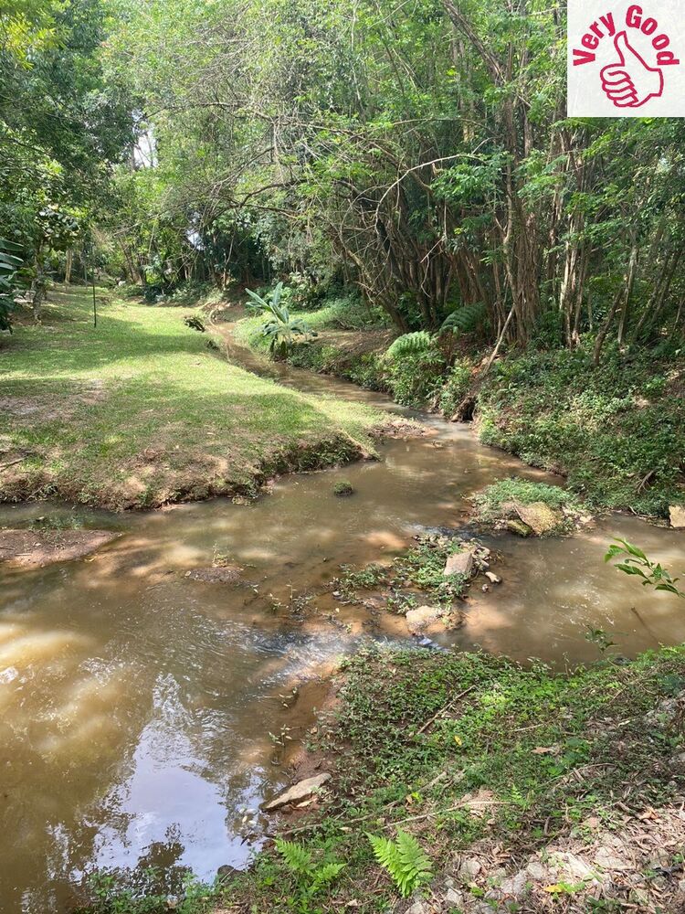 Casa, 4 quartos - Foto 4