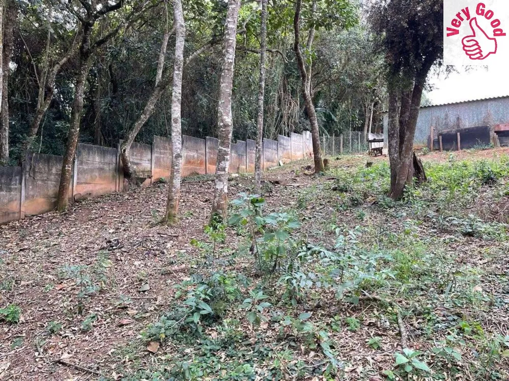 Terreno, 1802 m² - Foto 10