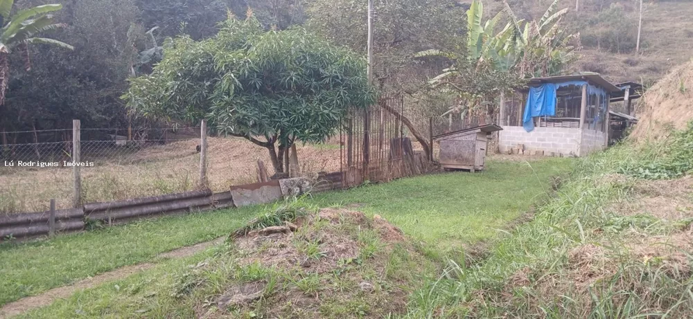 Chácara, 3 quartos, 2 hectares - Foto 12
