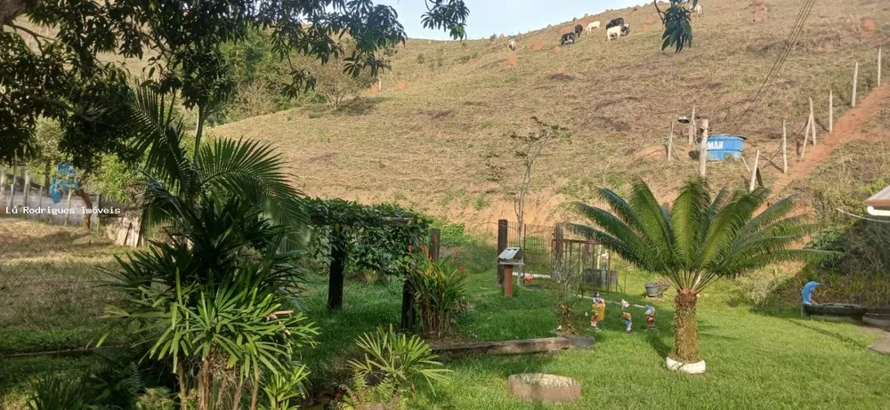 Chácara, 3 quartos, 2 hectares - Foto 6