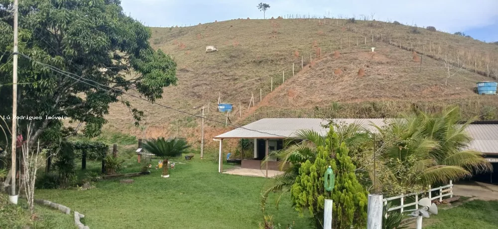 Chácara, 3 quartos, 2 hectares - Foto 15