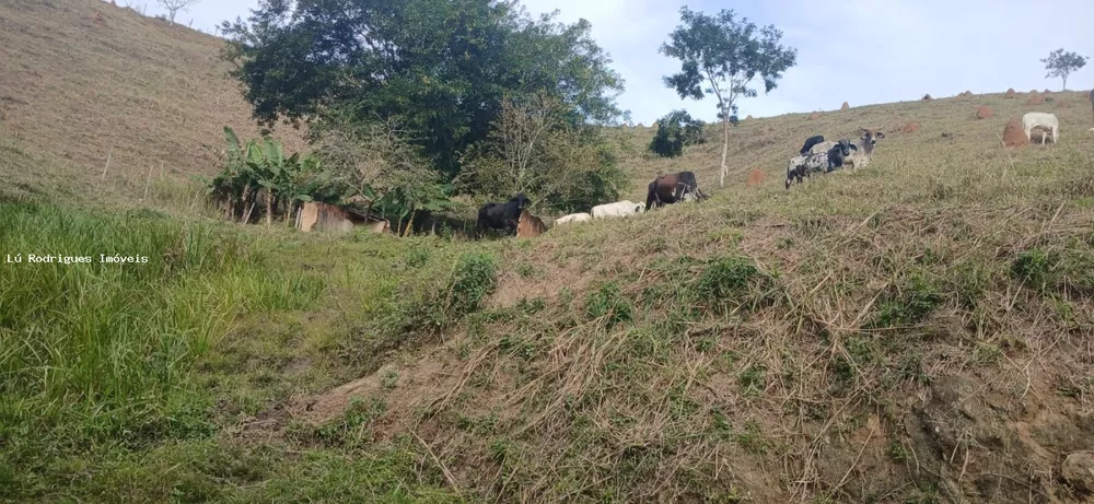 Chácara, 3 quartos, 2 hectares - Foto 26