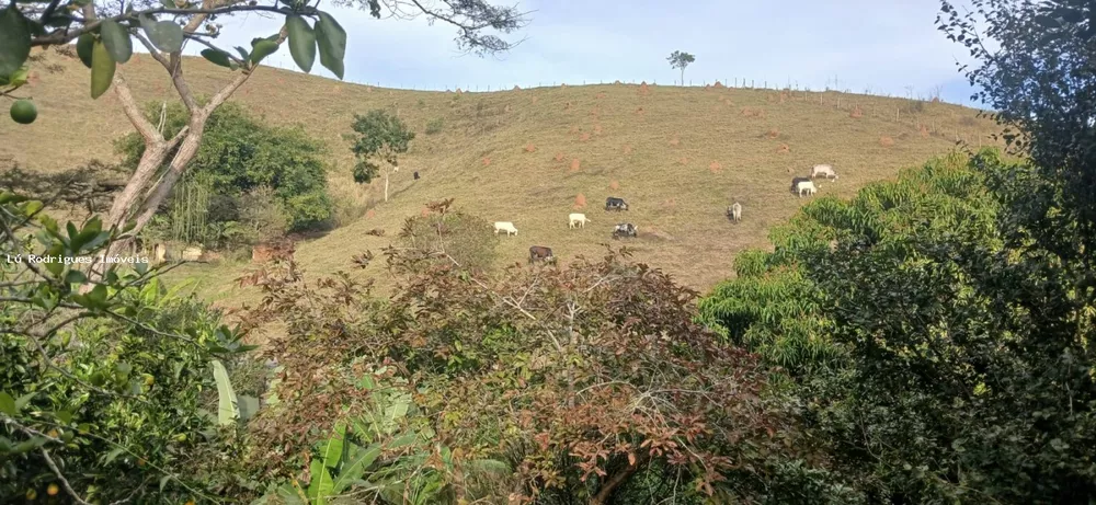 Chácara, 3 quartos, 2 hectares - Foto 19