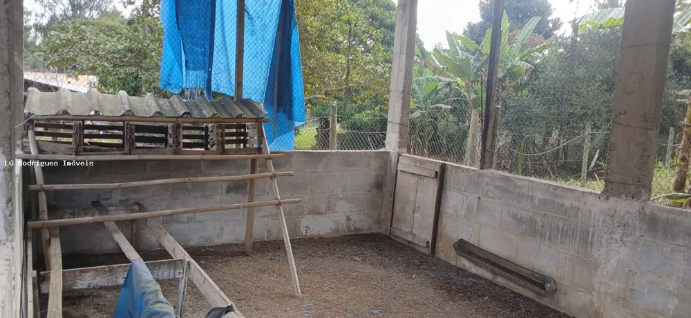 Chácara, 3 quartos, 2 hectares - Foto 17