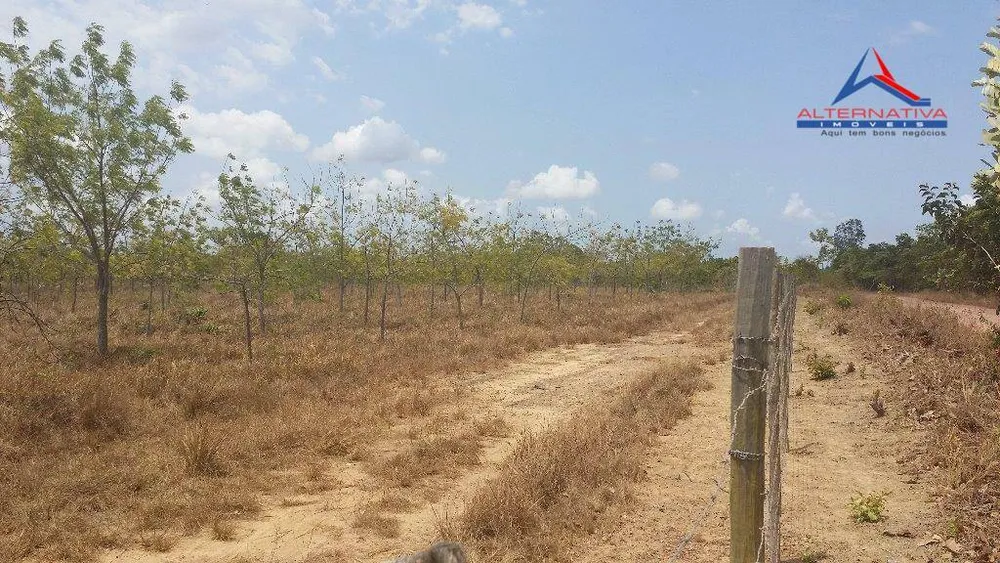 Terreno, 10 hectares - Foto 3