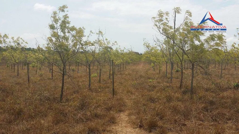 Terreno, 10 hectares - Foto 2