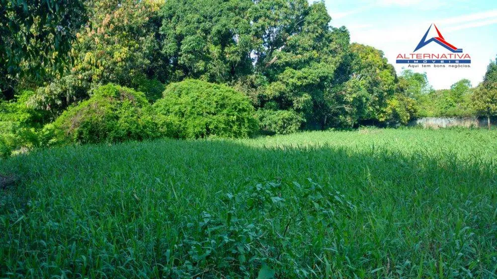 Terreno, 6 hectares - Foto 3