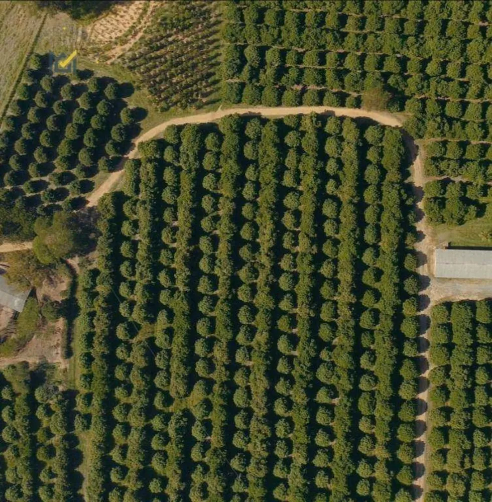 Sítio, 6 quartos, 24 hectares - Foto 3
