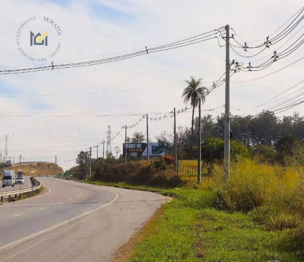 Terreno, 4 hectares - Foto 4
