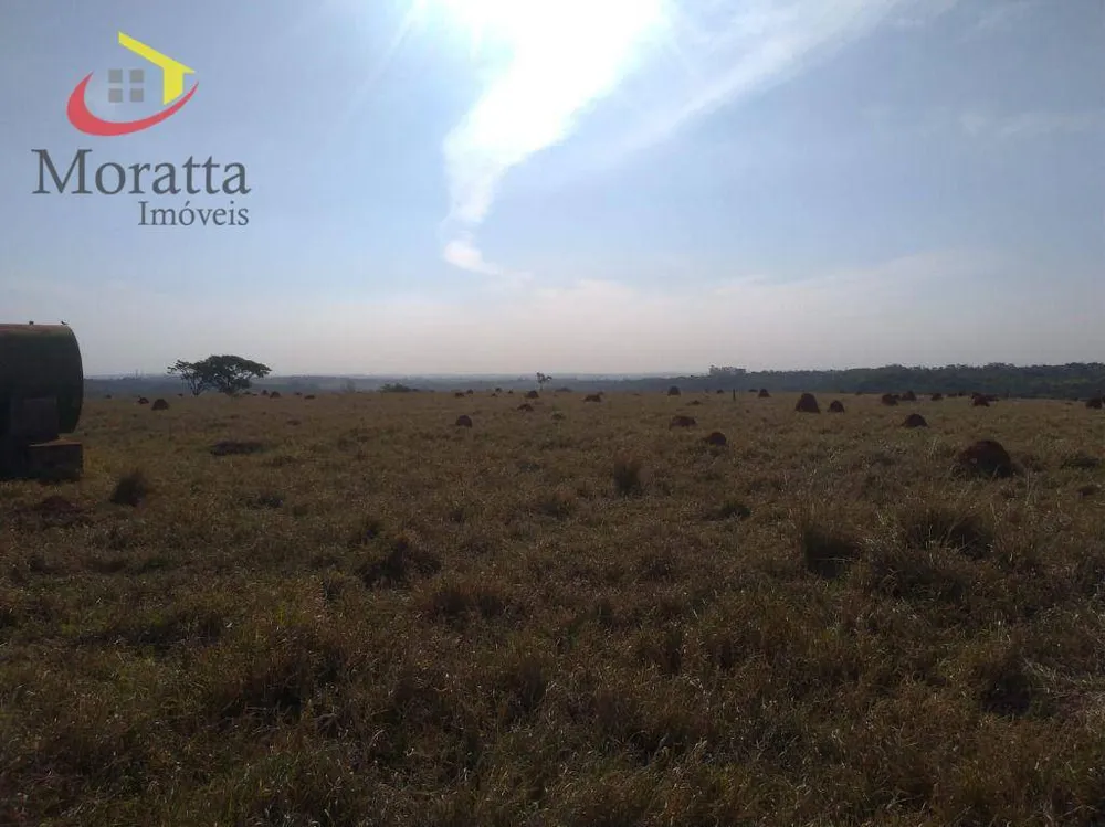 Terreno, 20 hectares - Foto 4