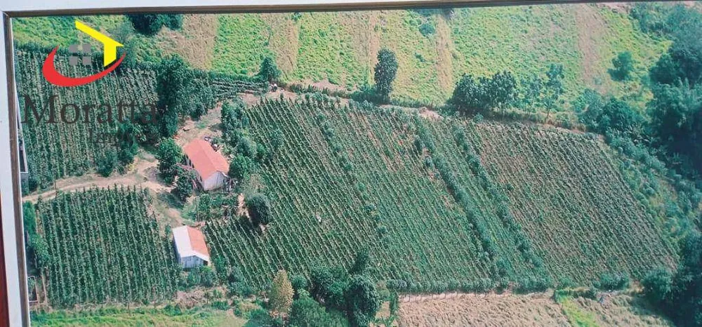 Terreno, 1 hectares - Foto 3