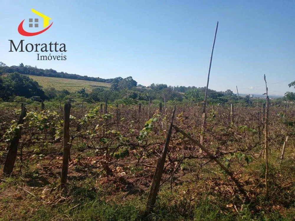Terreno, 1 hectares - Foto 4