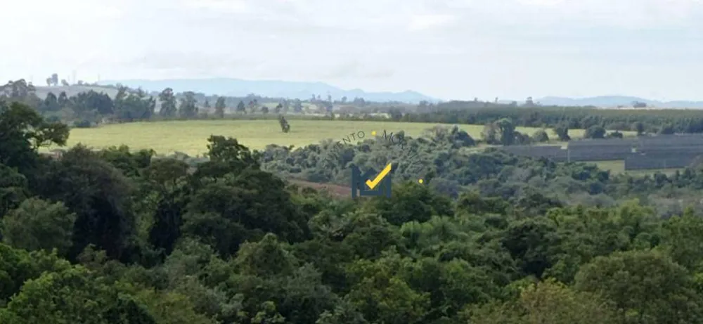 Terreno, 28 hectares - Foto 3