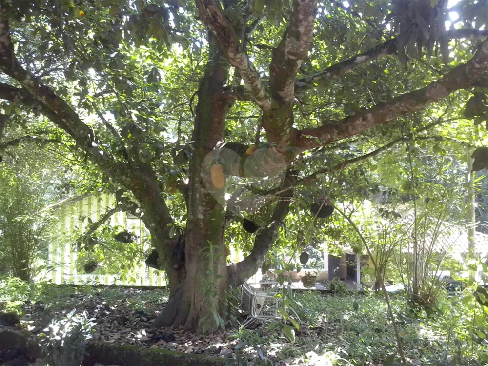 Chácara, 2 quartos, 1 hectares - Foto 2