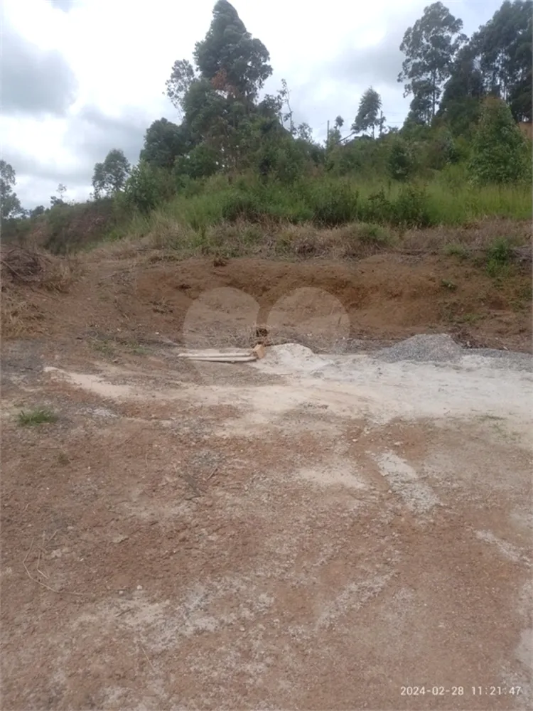 Terreno - Foto 3