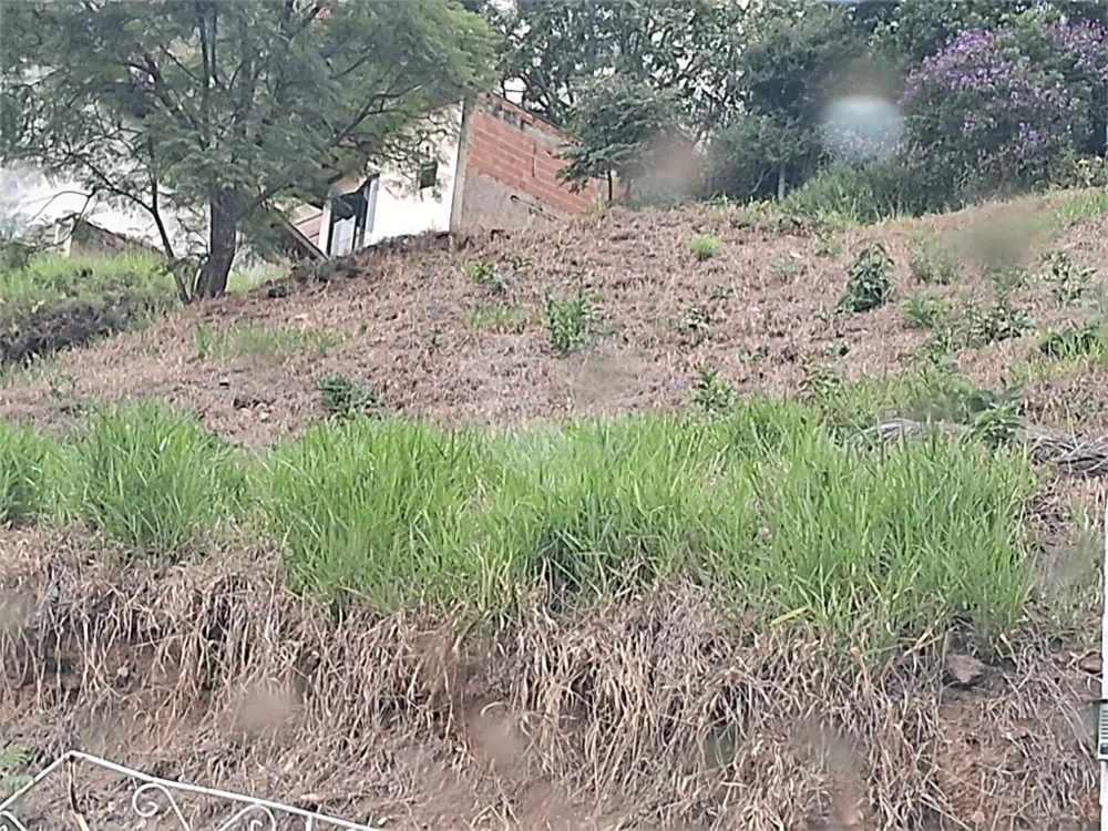 Terreno - Foto 6
