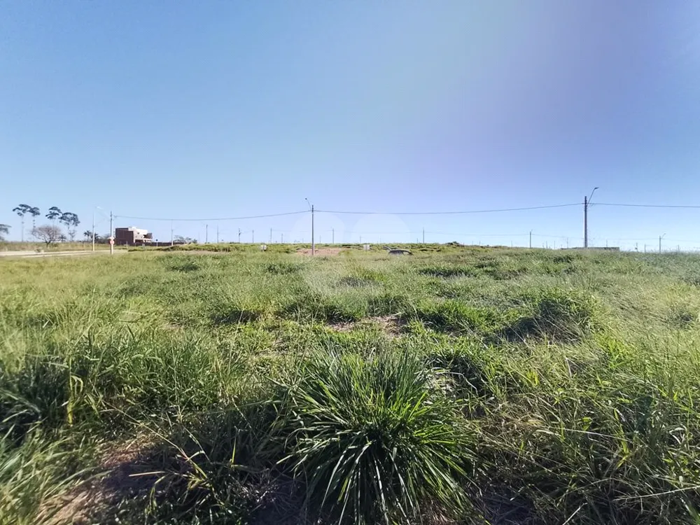 Terreno - Foto 6