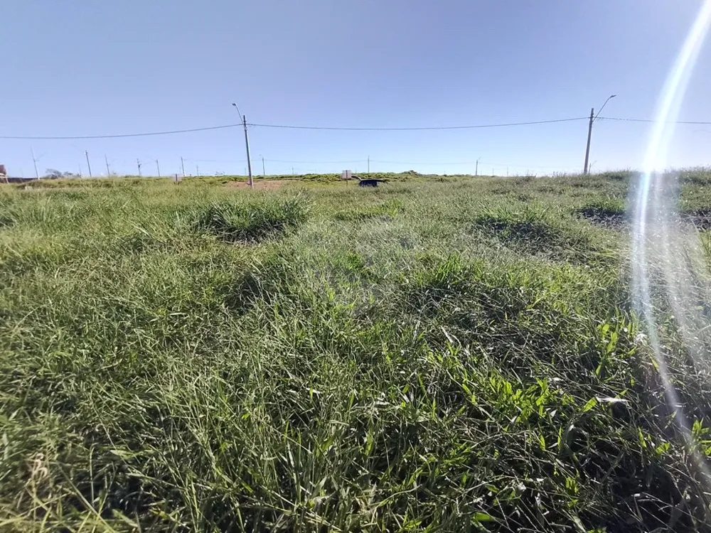 Terreno - Foto 2
