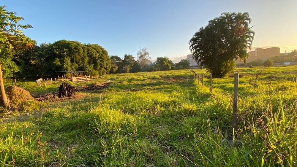 Terreno, 1800 m² - Foto 2
