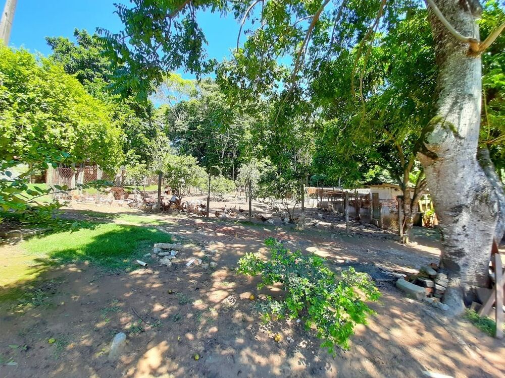 Chácara, 3 quartos, 390 m² - Foto 3