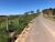 Terreno, 7 hectares - Foto 4