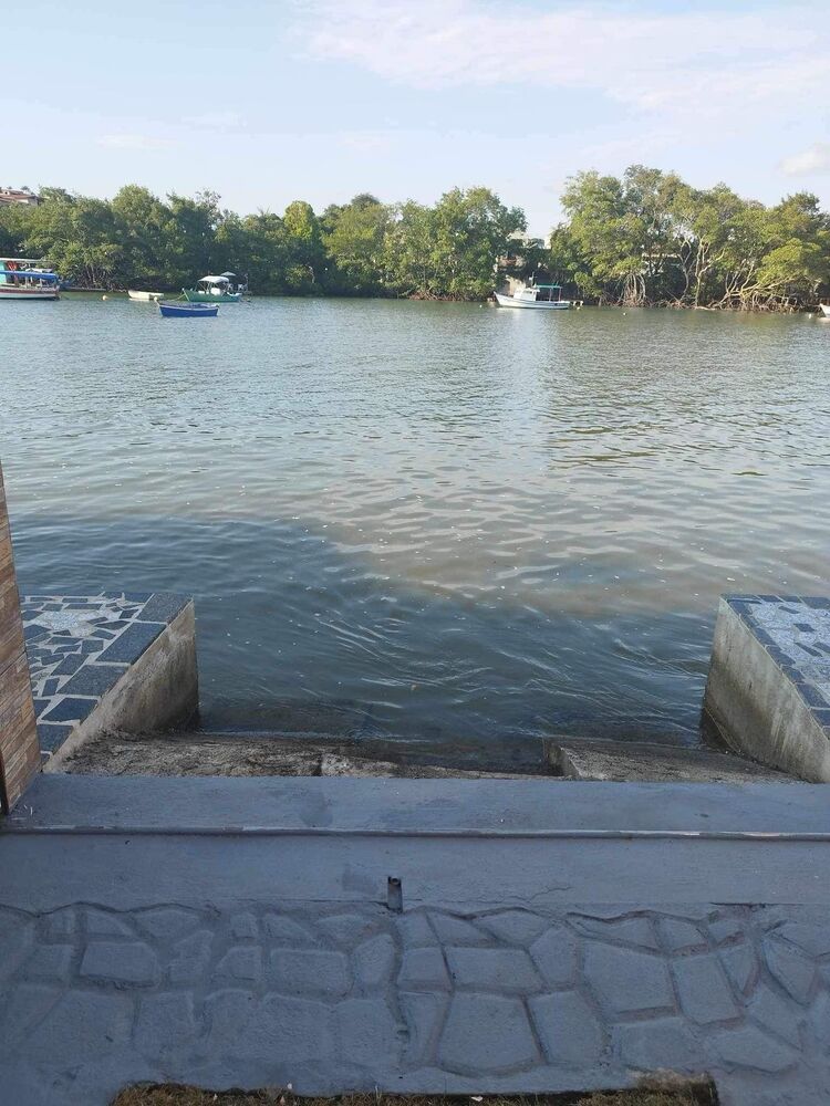 Casa, 3 quartos, 300 m² - Foto 4