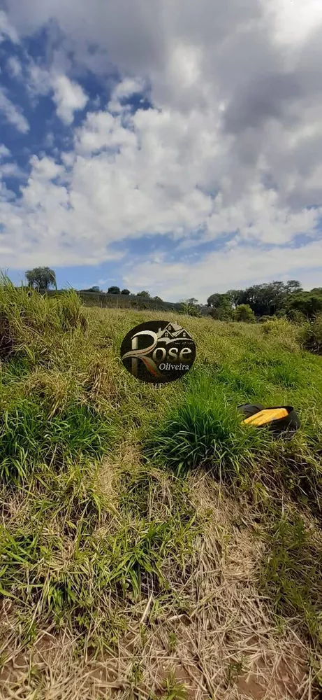 Terreno à venda, 20000m² - Foto 4