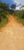 Terreno, 2 hectares - Foto 4